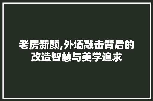 老房新颜,外墙敲击背后的改造智慧与美学追求