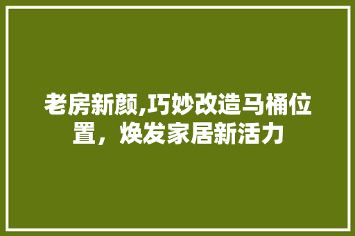 老房新颜,巧妙改造马桶位置，焕发家居新活力