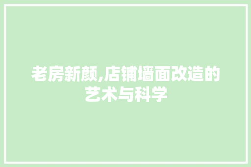 老房新颜,店铺墙面改造的艺术与科学