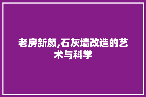 老房新颜,石灰墙改造的艺术与科学