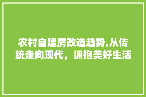 农村自建房改造趋势,从传统走向现代，拥抱美好生活
