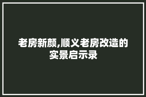 老房新颜,顺义老房改造的实景启示录