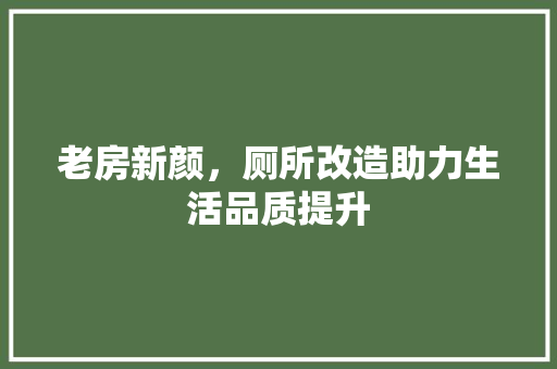老房新颜，厕所改造助力生活品质提升