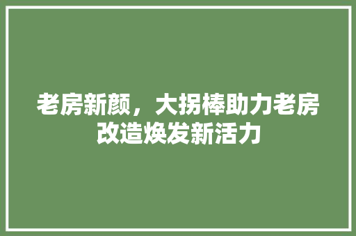 老房新颜，大拐棒助力老房改造焕发新活力