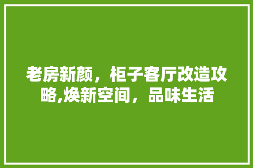 老房新颜，柜子客厅改造攻略,焕新空间，品味生活