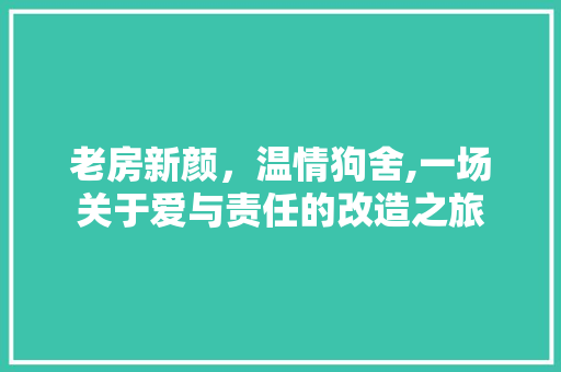 老房新颜，温情狗舍,一场关于爱与责任的改造之旅