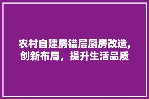 农村自建房错层厨房改造,创新布局，提升生活品质