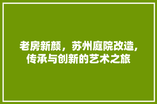 老房新颜，苏州庭院改造,传承与创新的艺术之旅 墙面装饰
