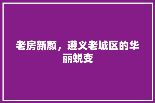 老房新颜，遵义老城区的华丽蜕变 门窗装修
