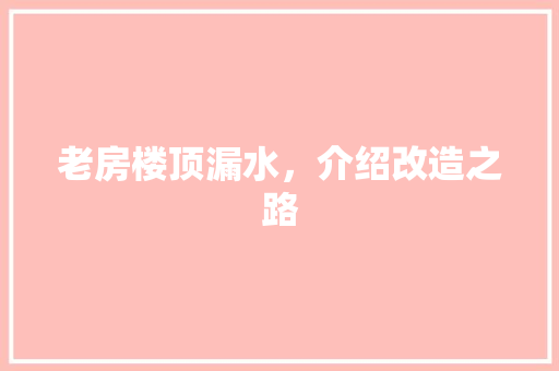 老房楼顶漏水，介绍改造之路 建筑设计