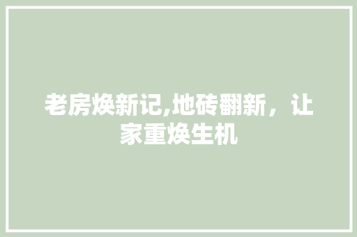 老房焕新记,地砖翻新，让家重焕生机