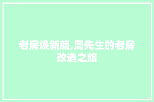 老房焕新颜,周先生的老房改造之旅
