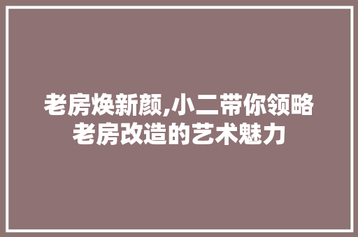 老房焕新颜,小二带你领略老房改造的艺术魅力 庭院装修
