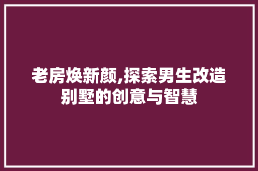 老房焕新颜,探索男生改造别墅的创意与智慧 墙面装饰