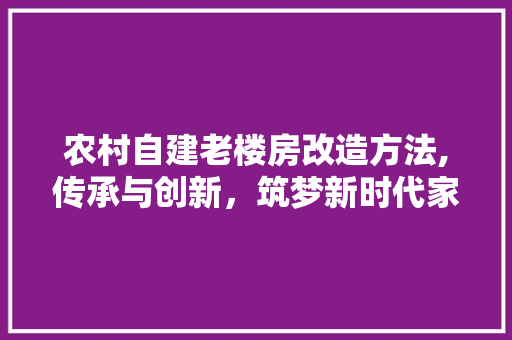 农村自建老楼房改造方法,传承与创新，筑梦新时代家园