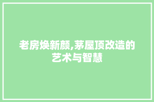 老房焕新颜,茅屋顶改造的艺术与智慧 隔断设计