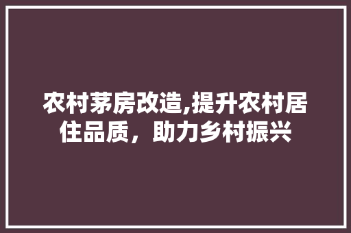 农村茅房改造,提升农村居住品质，助力乡村振兴