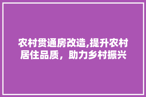 农村贯通房改造,提升农村居住品质，助力乡村振兴 装修材料