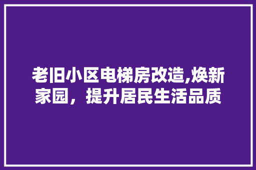 老旧小区电梯房改造,焕新家园，提升居民生活品质