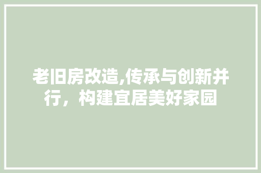 老旧房改造,传承与创新并行，构建宜居美好家园