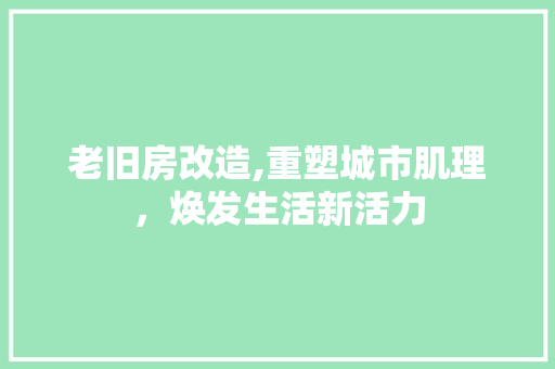 老旧房改造,重塑城市肌理，焕发生活新活力