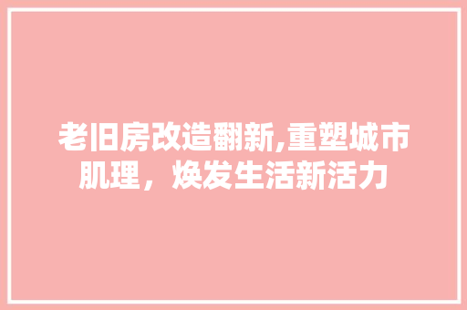 老旧房改造翻新,重塑城市肌理，焕发生活新活力 庭院装修