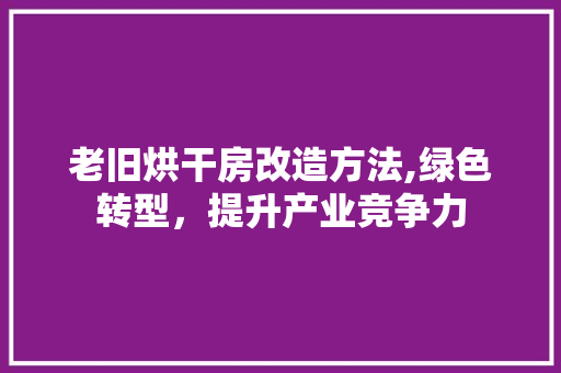 老旧烘干房改造方法,绿色转型，提升产业竞争力