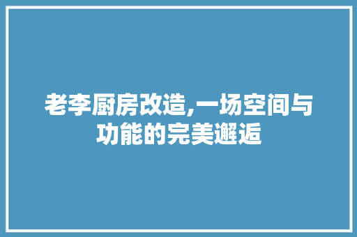 老李厨房改造,一场空间与功能的完美邂逅 装修攻略