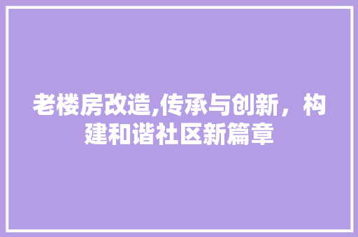 老楼房改造,传承与创新，构建和谐社区新篇章