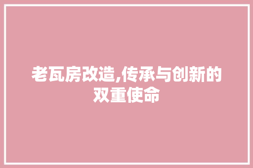 老瓦房改造,传承与创新的双重使命 装修攻略