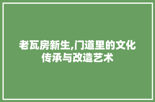 老瓦房新生,门道里的文化传承与改造艺术 装修攻略