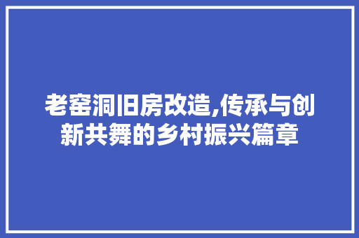 老窑洞旧房改造,传承与创新共舞的乡村振兴篇章 装修攻略