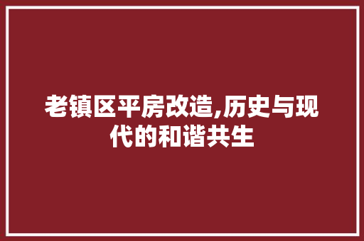 老镇区平房改造,历史与现代的和谐共生
