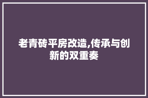 老青砖平房改造,传承与创新的双重奏