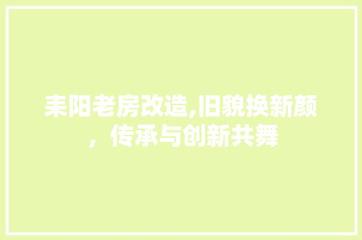 耒阳老房改造,旧貌换新颜，传承与创新共舞