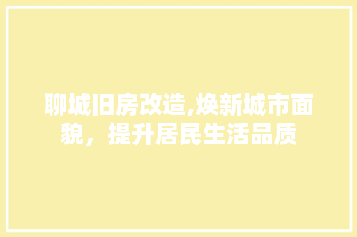 聊城旧房改造,焕新城市面貌，提升居民生活品质