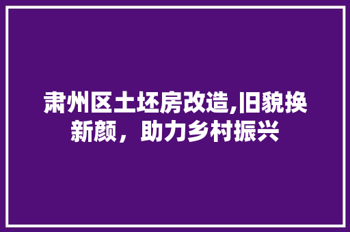 肃州区土坯房改造,旧貌换新颜，助力乡村振兴