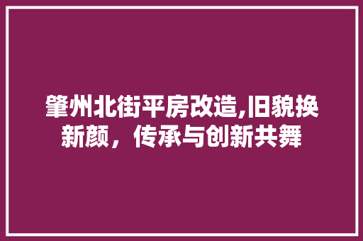 肇州北街平房改造,旧貌换新颜，传承与创新共舞