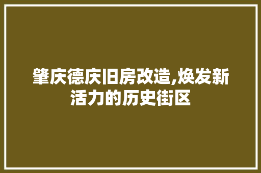 肇庆德庆旧房改造,焕发新活力的历史街区 装修攻略