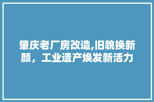 肇庆老厂房改造,旧貌换新颜，工业遗产焕发新活力