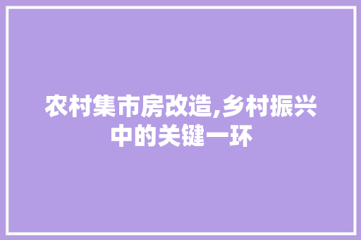 农村集市房改造,乡村振兴中的关键一环