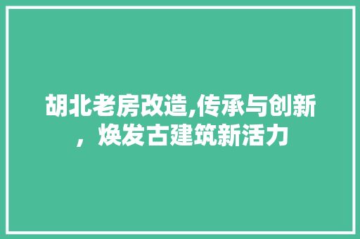 胡北老房改造,传承与创新,焕发古建筑新活力 装修材料 胡北老房改造,传承与创新,焕发古建筑新活力 装修材料