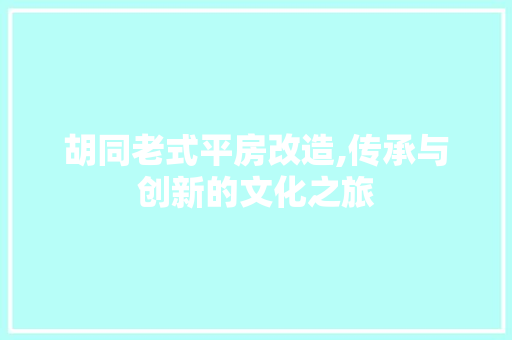 胡同老式平房改造,传承与创新的文化之旅 装修攻略