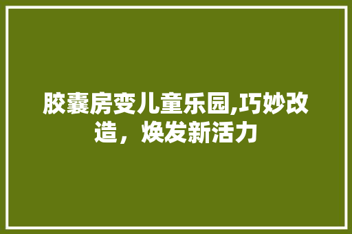 胶囊房变儿童乐园,巧妙改造，焕发新活力 庭院装修