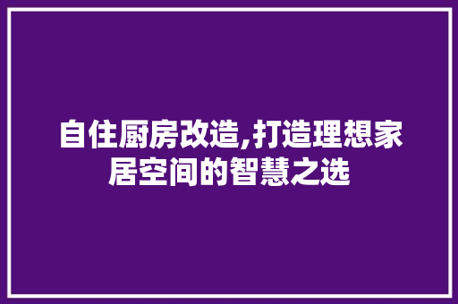 自住厨房改造,打造理想家居空间的智慧之选 门窗装修