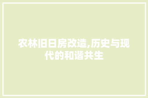 农林旧日房改造,历史与现代的和谐共生