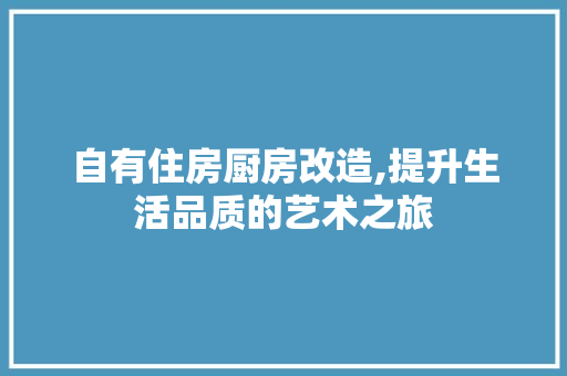 自有住房厨房改造,提升生活品质的艺术之旅