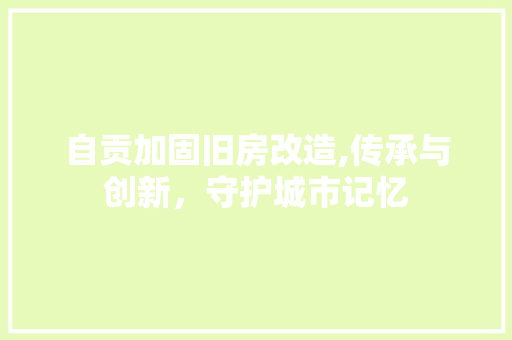 自贡加固旧房改造,传承与创新，守护城市记忆 墙面装饰