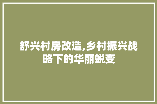 舒兴村房改造,乡村振兴战略下的华丽蜕变