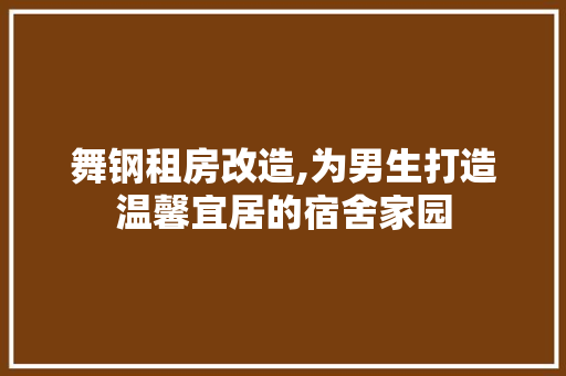 舞钢租房改造,为男生打造温馨宜居的宿舍家园 装修攻略
